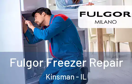  Fulgor Freezer Repair Kinsman - IL