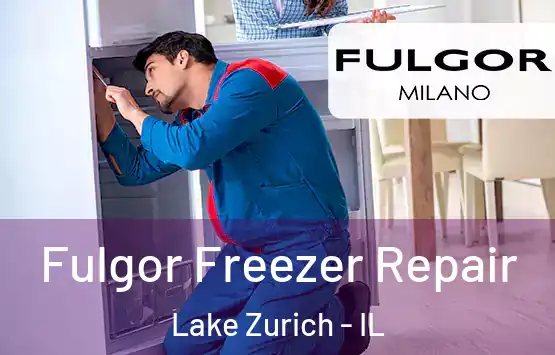  Fulgor Freezer Repair Lake Zurich - IL