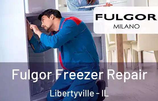  Fulgor Freezer Repair Libertyville - IL