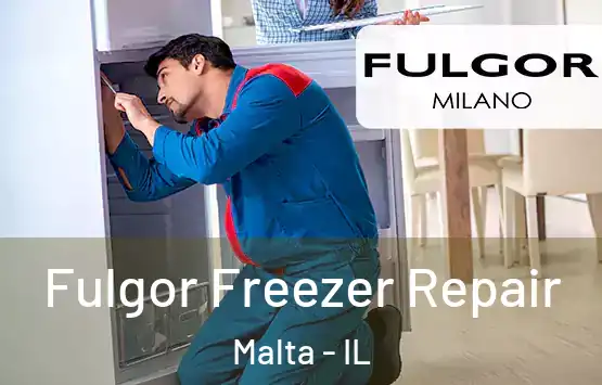  Fulgor Freezer Repair Malta - IL