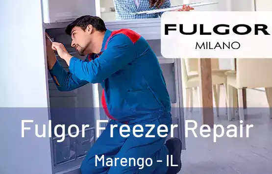  Fulgor Freezer Repair Marengo - IL