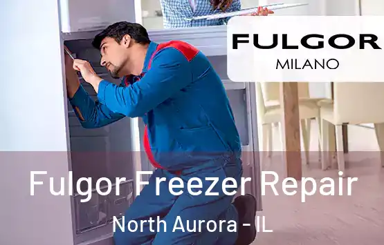  Fulgor Freezer Repair North Aurora - IL
