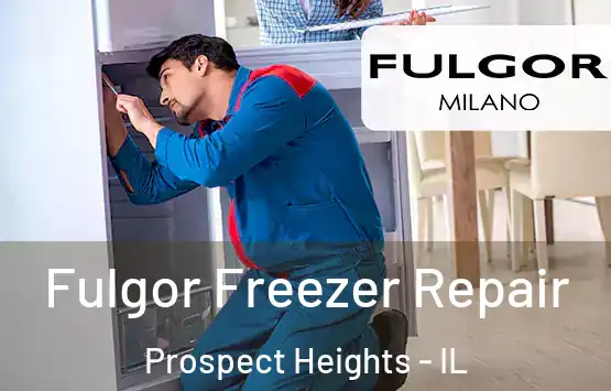  Fulgor Freezer Repair Prospect Heights - IL