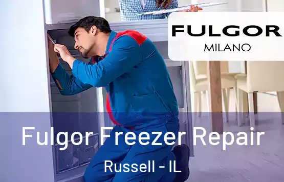  Fulgor Freezer Repair Russell - IL
