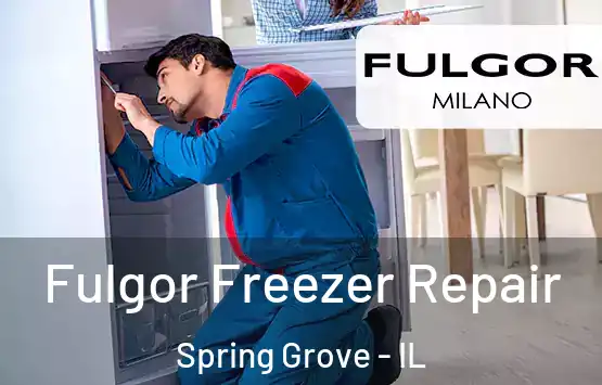  Fulgor Freezer Repair Spring Grove - IL