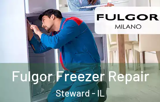  Fulgor Freezer Repair Steward - IL