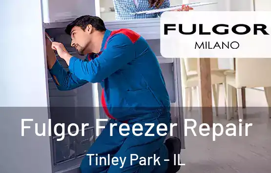  Fulgor Freezer Repair Tinley Park - IL