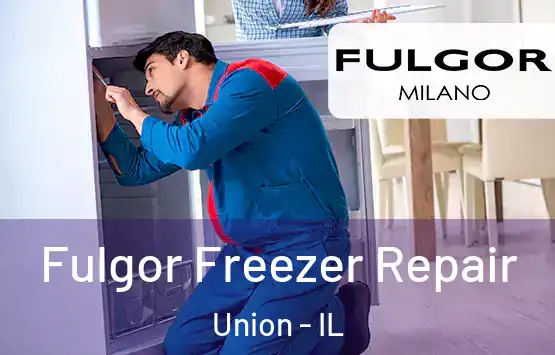  Fulgor Freezer Repair Union - IL
