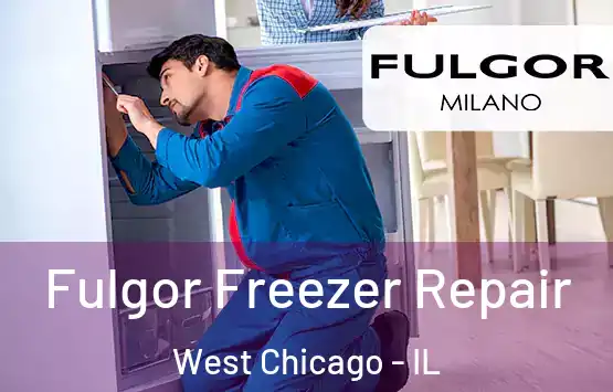  Fulgor Freezer Repair West Chicago - IL