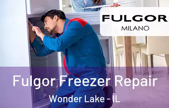  Fulgor Freezer Repair Wonder Lake - IL