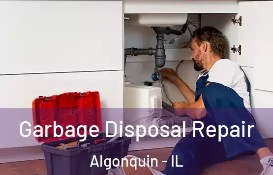  Garbage Disposal Repair Algonquin - IL