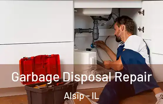  Garbage Disposal Repair Alsip - IL