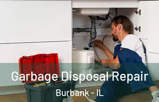  Garbage Disposal Repair Burbank - IL