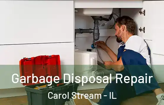  Garbage Disposal Repair Carol Stream - IL