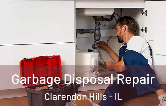  Garbage Disposal Repair Clarendon Hills - IL