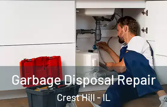  Garbage Disposal Repair Crest Hill - IL