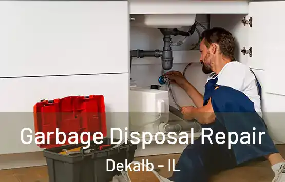  Garbage Disposal Repair Dekalb - IL