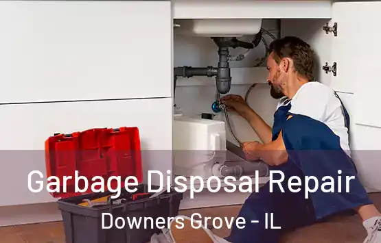  Garbage Disposal Repair Downers Grove - IL
