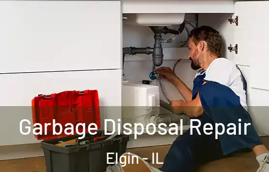  Garbage Disposal Repair Elgin - IL