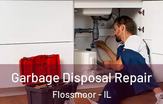  Garbage Disposal Repair Flossmoor - IL