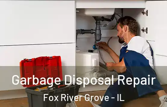  Garbage Disposal Repair Fox River Grove - IL