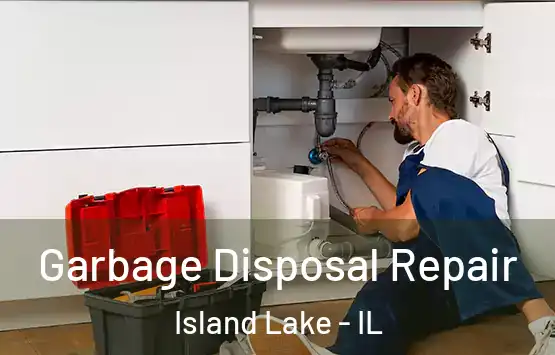  Garbage Disposal Repair Island Lake - IL