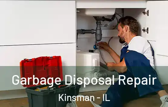  Garbage Disposal Repair Kinsman - IL