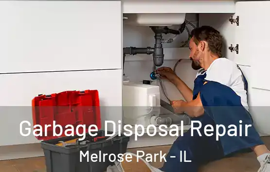  Garbage Disposal Repair Melrose Park - IL