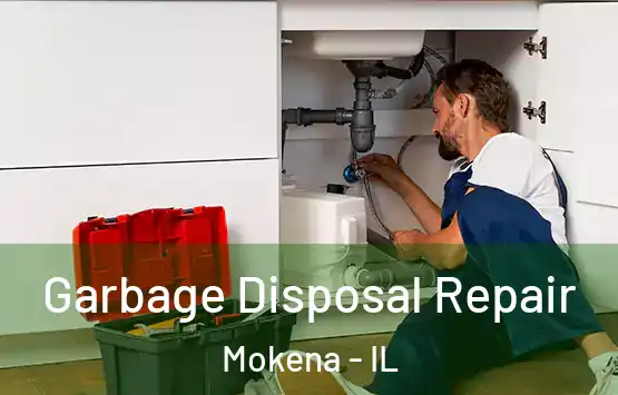  Garbage Disposal Repair Mokena - IL