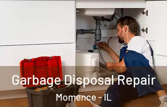  Garbage Disposal Repair Momence - IL