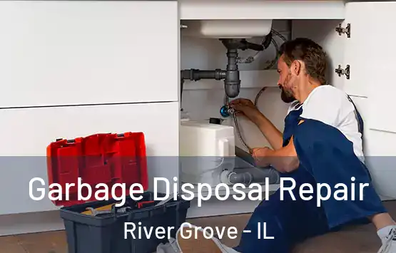  Garbage Disposal Repair River Grove - IL