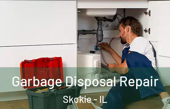  Garbage Disposal Repair Skokie - IL