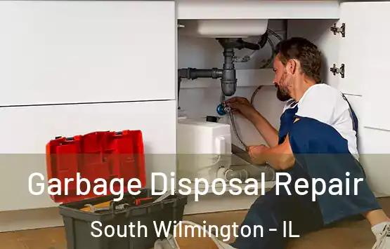  Garbage Disposal Repair South Wilmington - IL