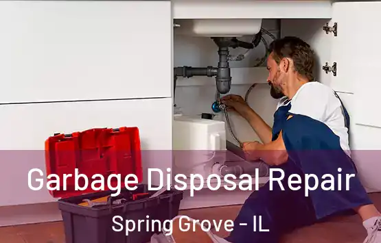  Garbage Disposal Repair Spring Grove - IL