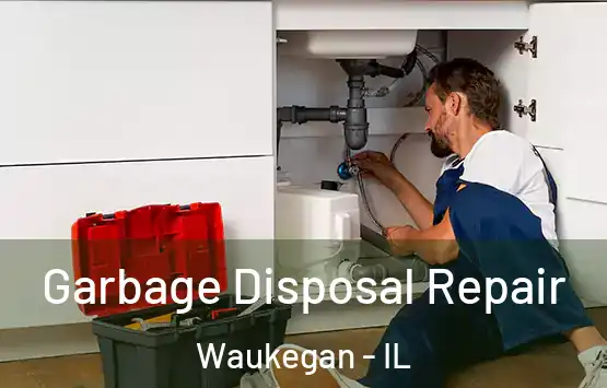  Garbage Disposal Repair Waukegan - IL