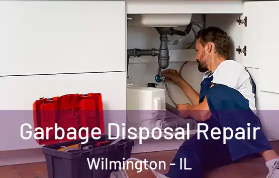 Garbage Disposal Repair Wilmington - IL