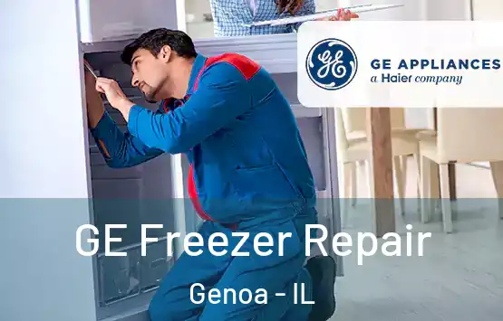 GE Freezer Repair Genoa - IL