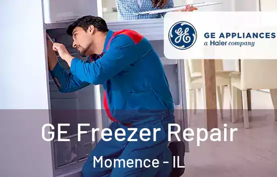  GE Freezer Repair Momence - IL