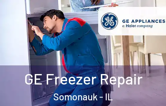  GE Freezer Repair Somonauk - IL
