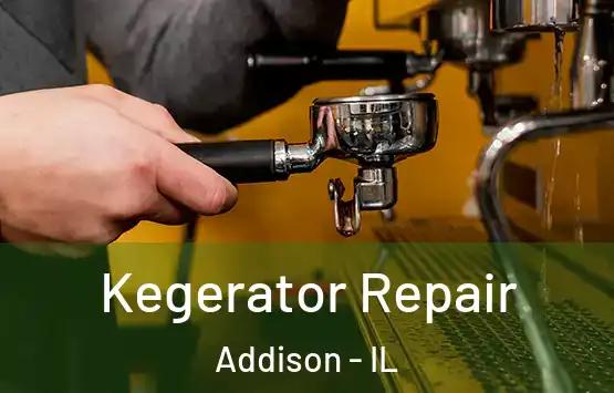  Kegerator Repair Addison - IL