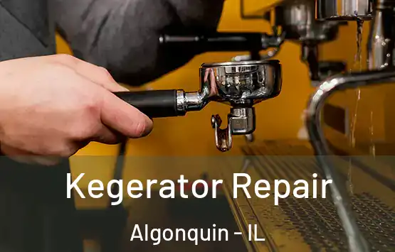 Kegerator Repair Algonquin - IL