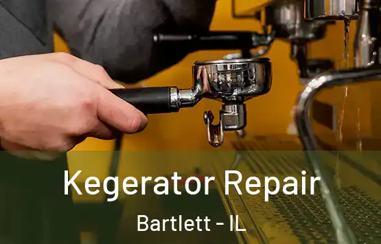  Kegerator Repair Bartlett - IL