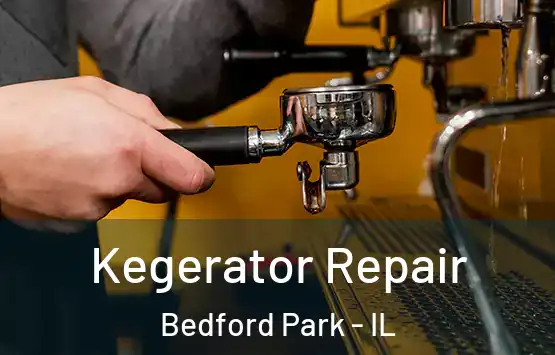  Kegerator Repair Bedford Park - IL