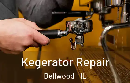  Kegerator Repair Bellwood - IL