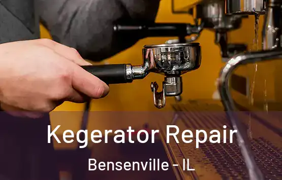  Kegerator Repair Bensenville - IL