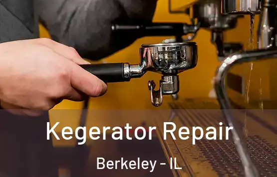  Kegerator Repair Berkeley - IL