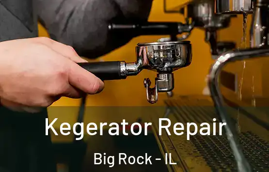 Kegerator Repair Big Rock - IL