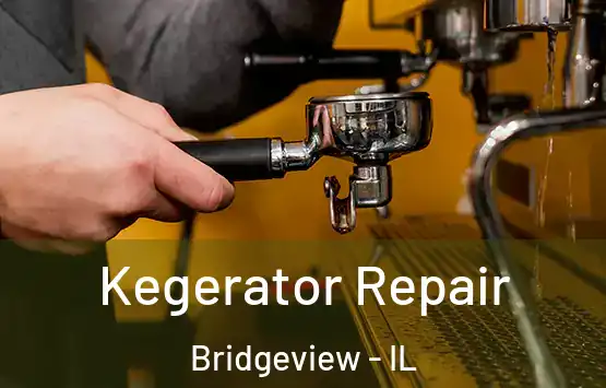  Kegerator Repair Bridgeview - IL