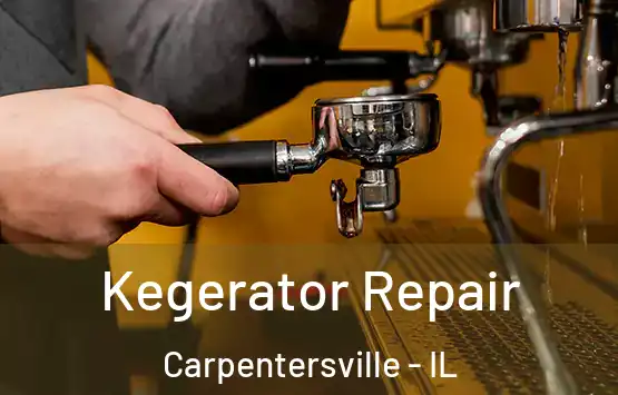  Kegerator Repair Carpentersville - IL