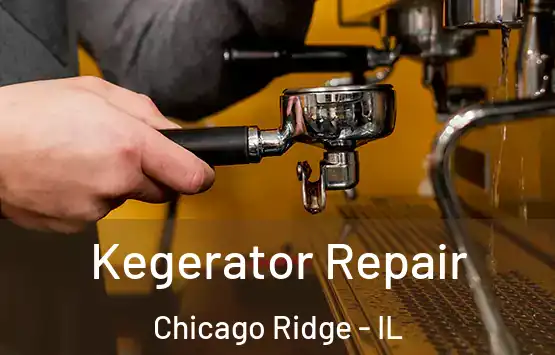  Kegerator Repair Chicago Ridge - IL